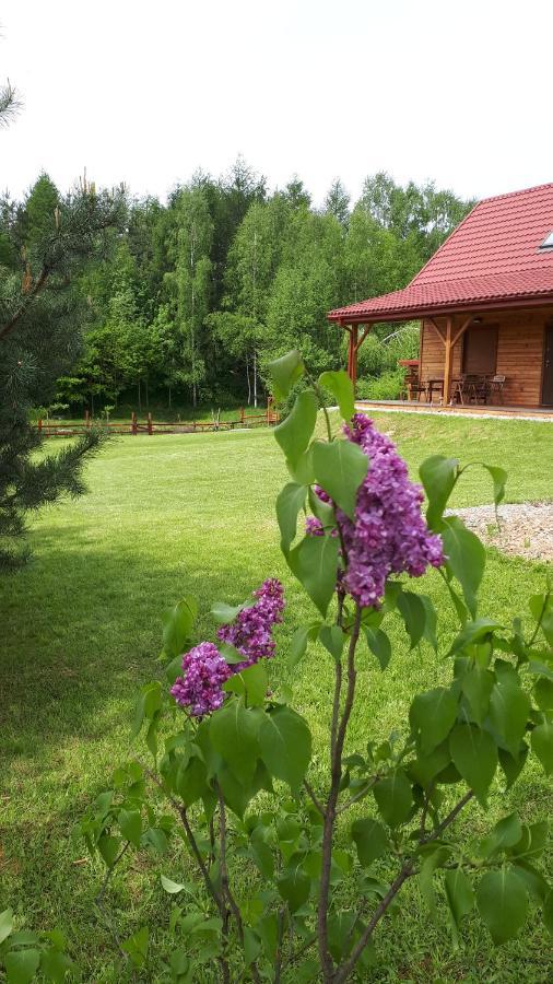 Dom Nad Dolina Sanu Ruszelczyce Exterior foto
