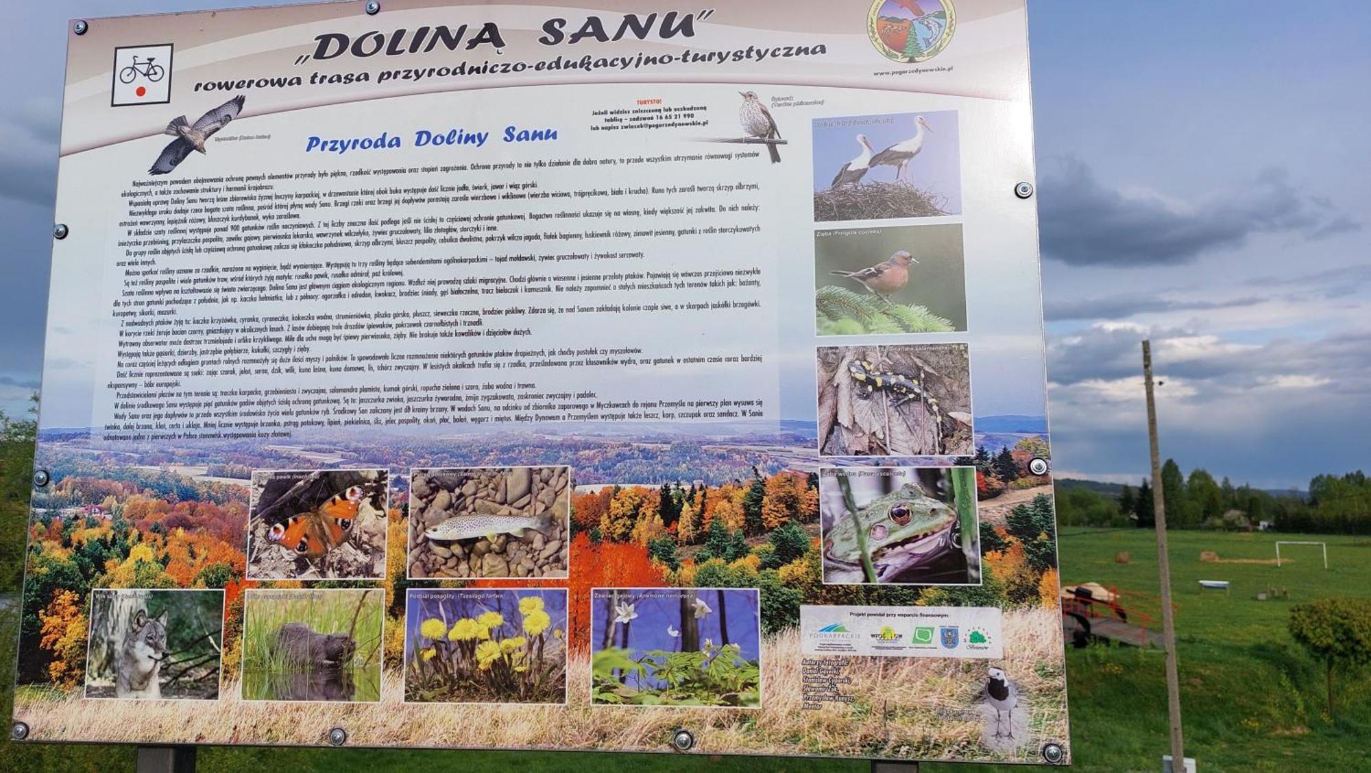 Dom Nad Dolina Sanu Ruszelczyce Exterior foto