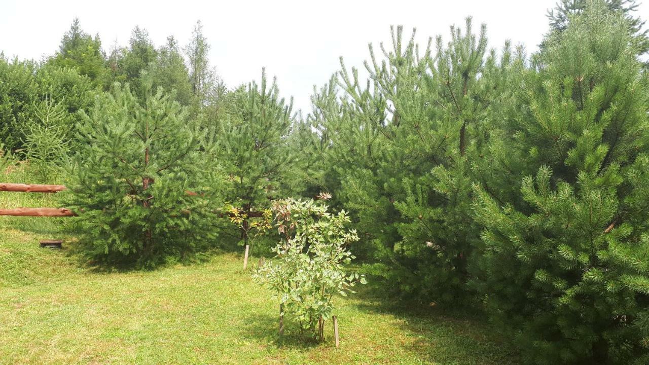 Dom Nad Dolina Sanu Ruszelczyce Exterior foto